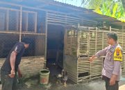 Polsek Pantai Labu Gerebek Lokasi Judi Sabung Ayam